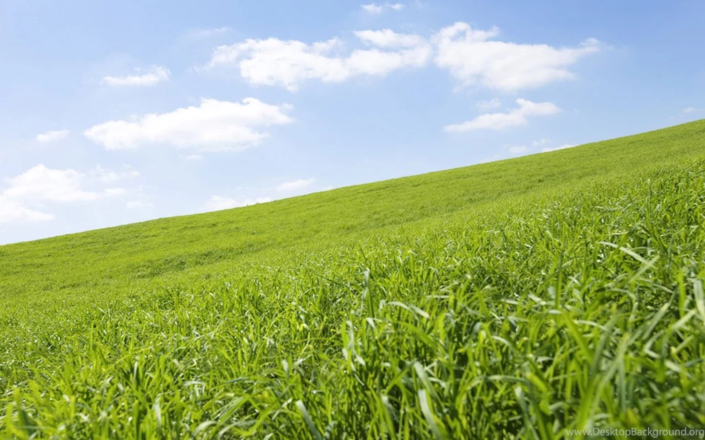 Download Grass Prairie Wallpapers 5647 1280x800 Px High Resolution ...