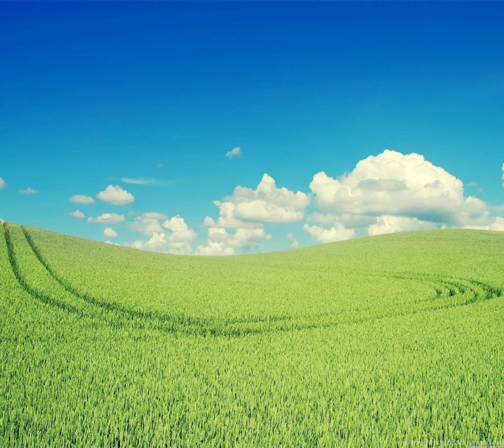 Prairie Landscape Desktop 2160x1920 Samsung Galaxy S4 Wallpapers ...