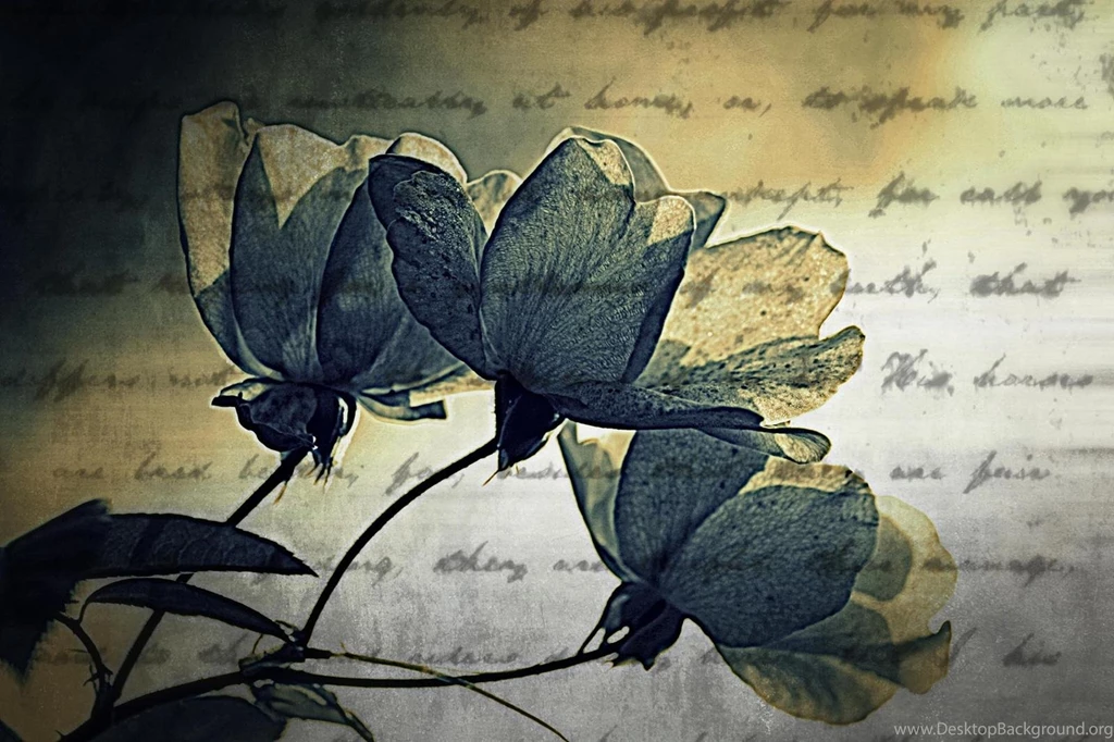 Is Time To Say Good Bye >> HD Wallpaper, Get It Now!