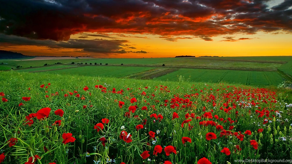 Nature Hd Wallpapers