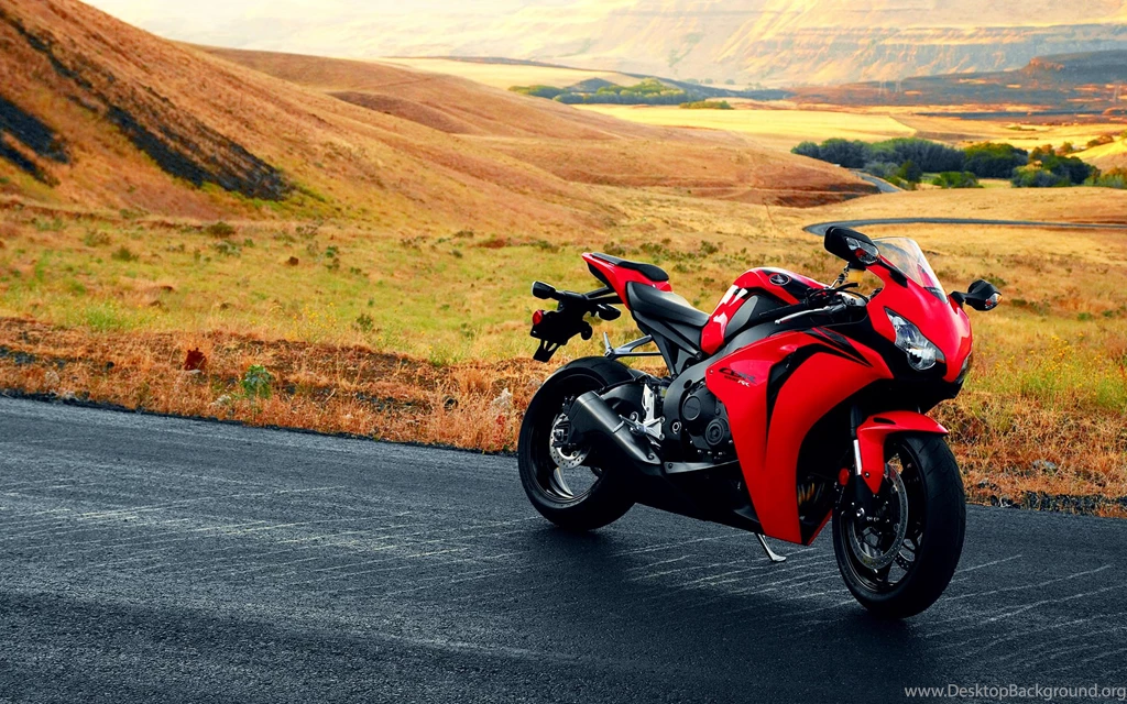 Download The Sitting Still A Rare Moment Wallpaper, Sitting Still ...