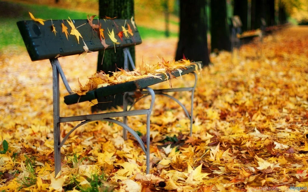 Autumn Leaves Wallpapers, Photos, Images, Pictures & Pics