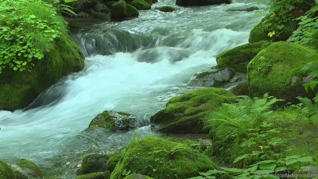 River Flow Live WallPaper Android Apps On Google Play