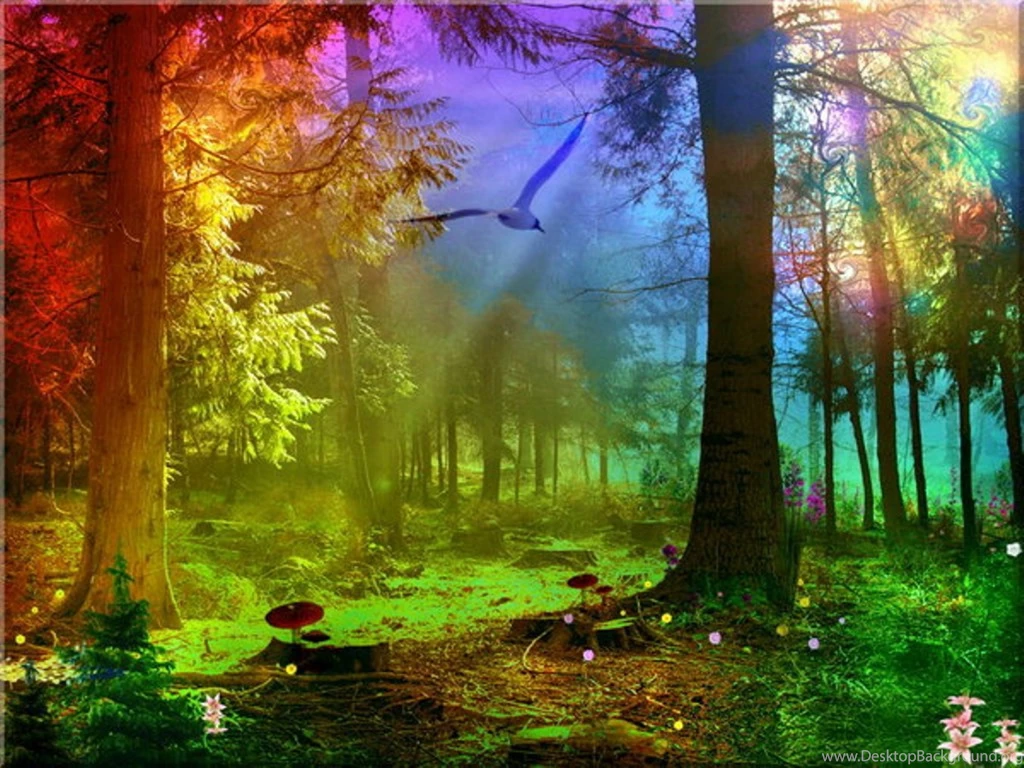 Download Wallpapers, Download 2560x1920 3d Abstract Rainbow Forest ...