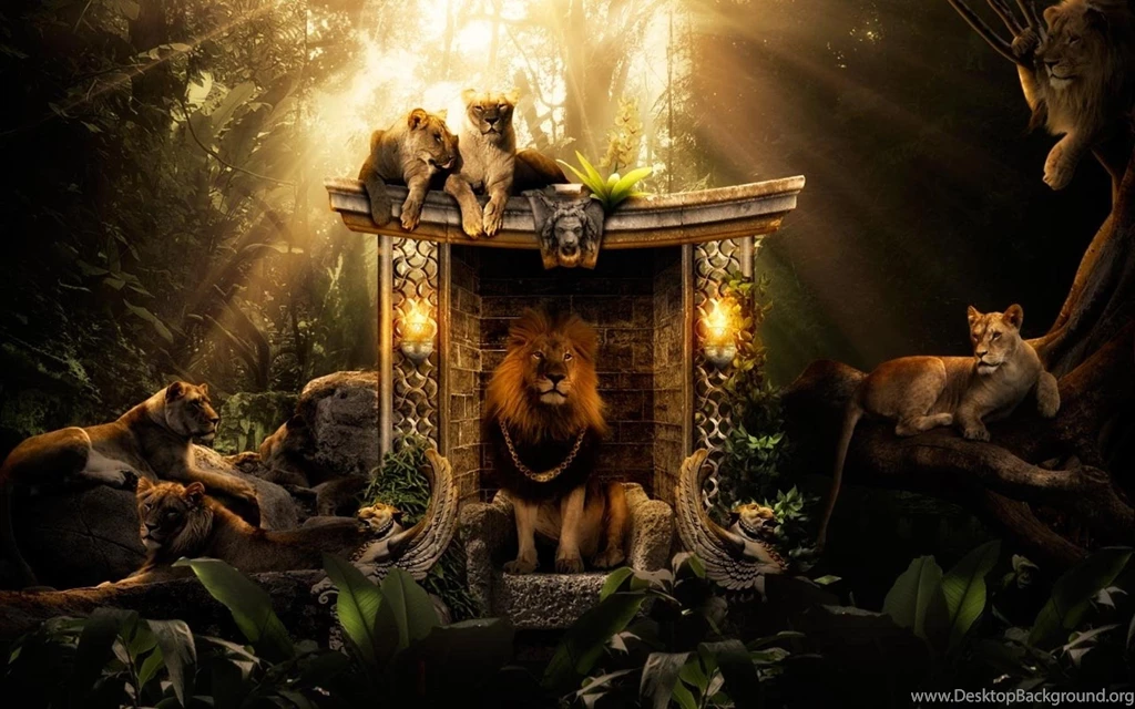 Lion Wallpapers