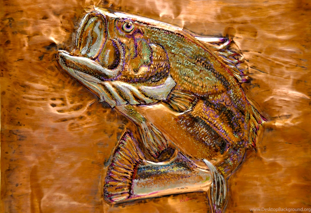Fish Niche