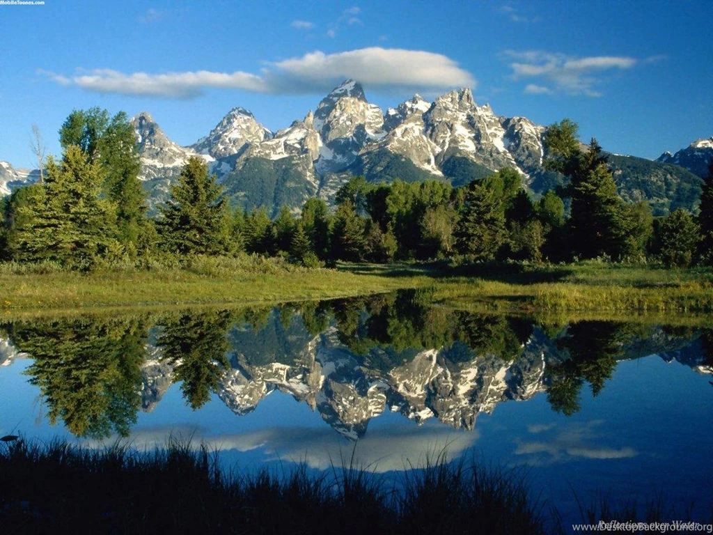 Mobile Wallpapers Nature   HD Wallpapers And Pictures