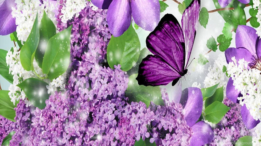 Download Free 250 High Quality Butterfly Wallpapers The Quotes Land
