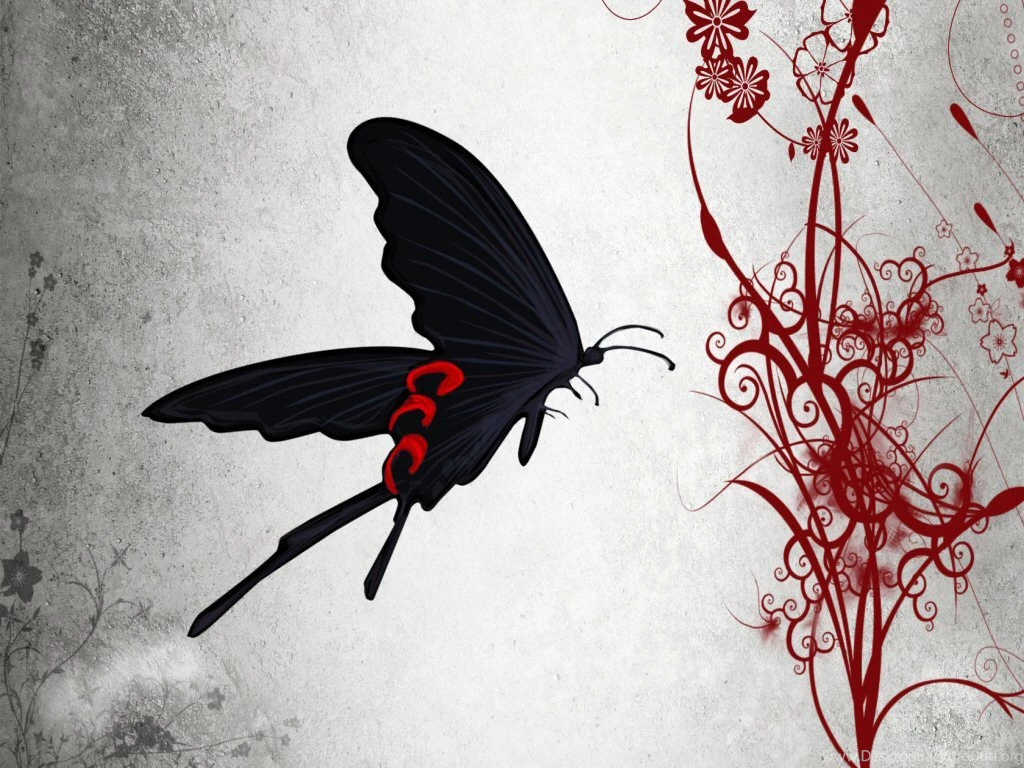 Wallpapers Butterflies Hell Butterfly The Free 1024x768