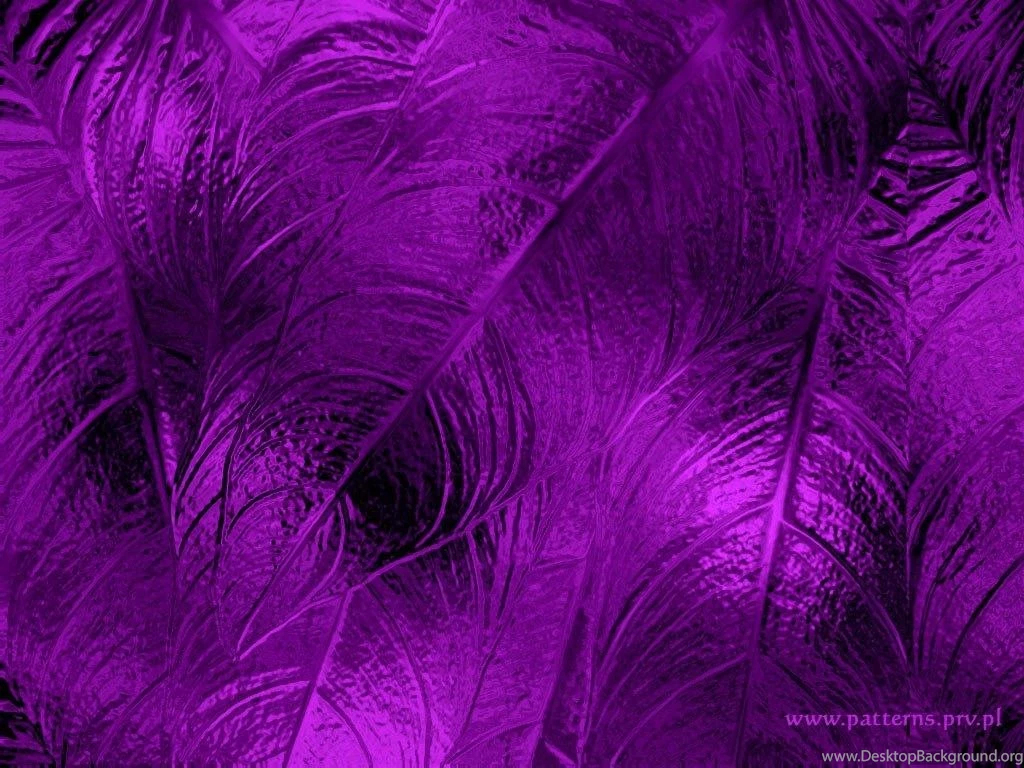 Purple Wallpapers Image Soft