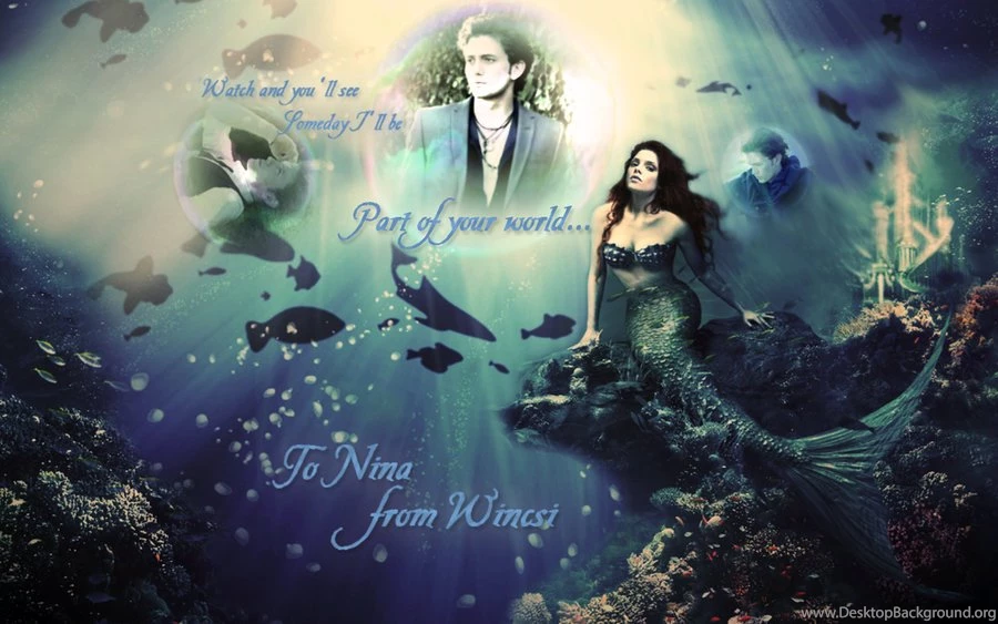 Part Of Your World   Wallpapers By Wincsi On DeviantArt