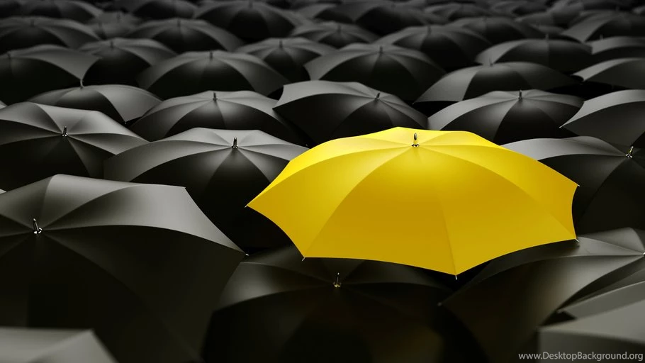 Innovations, Umbrellas, Yellow Umbrella, Black Umbrellas ...