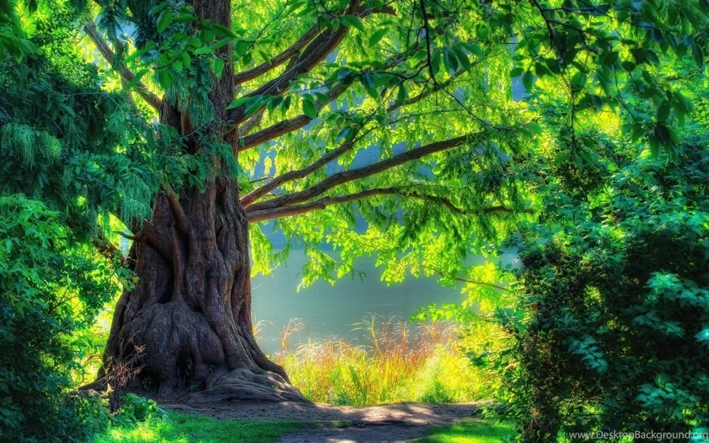 Very Beautiful Wallpapers HD Wallpapers And Pictures