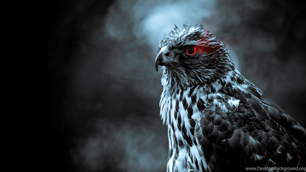 Looking For Prey Wallpapers ImgMob