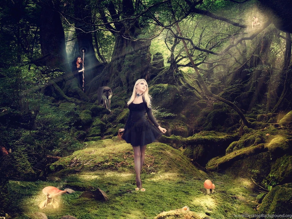Fairy Tales (