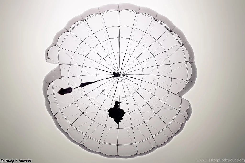 137th Parachute Landing Regiment Of 106th Airborne Division ...
