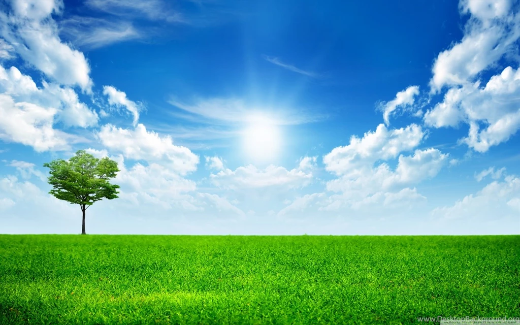 Green Nature HD Desktop Wallpapers : Mobile : Dual Monitor