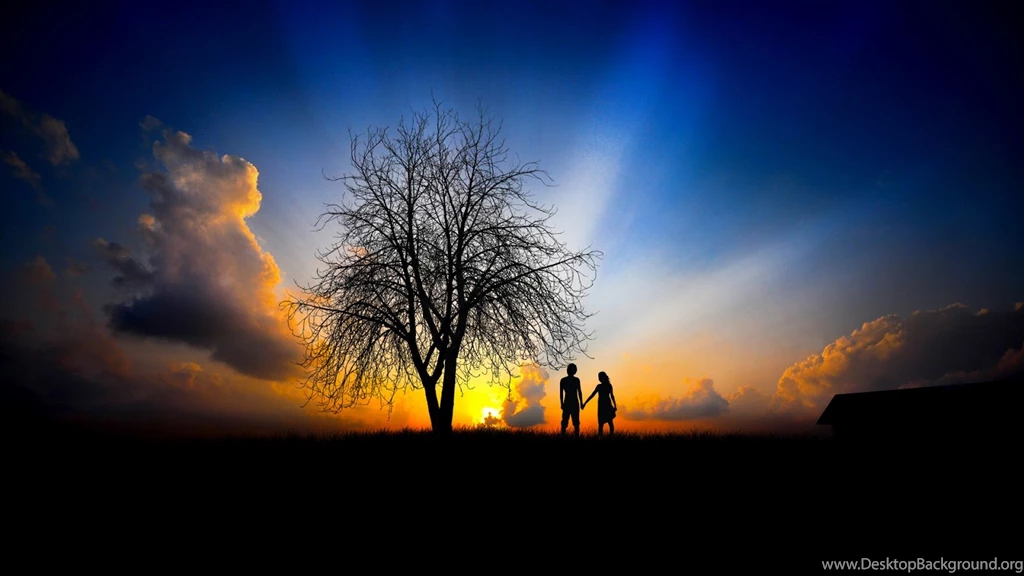 Hdwallpapers In