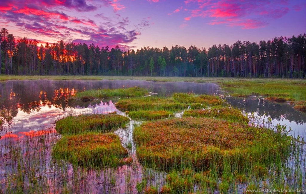 Widescreen Images, Amazing Views, Nature Images, Free Download ...