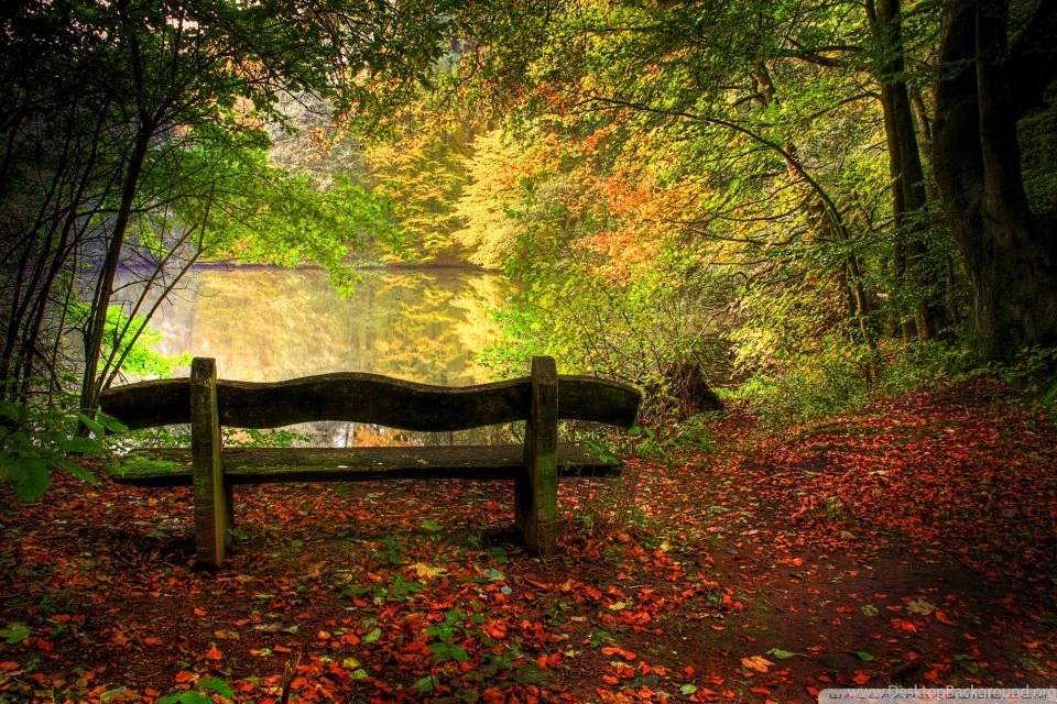 Empty Bench In Fall Scene Hd Desktop Wallpapers High Definition Desktop Background,Cute Black Anime Girl Characters With Glasses