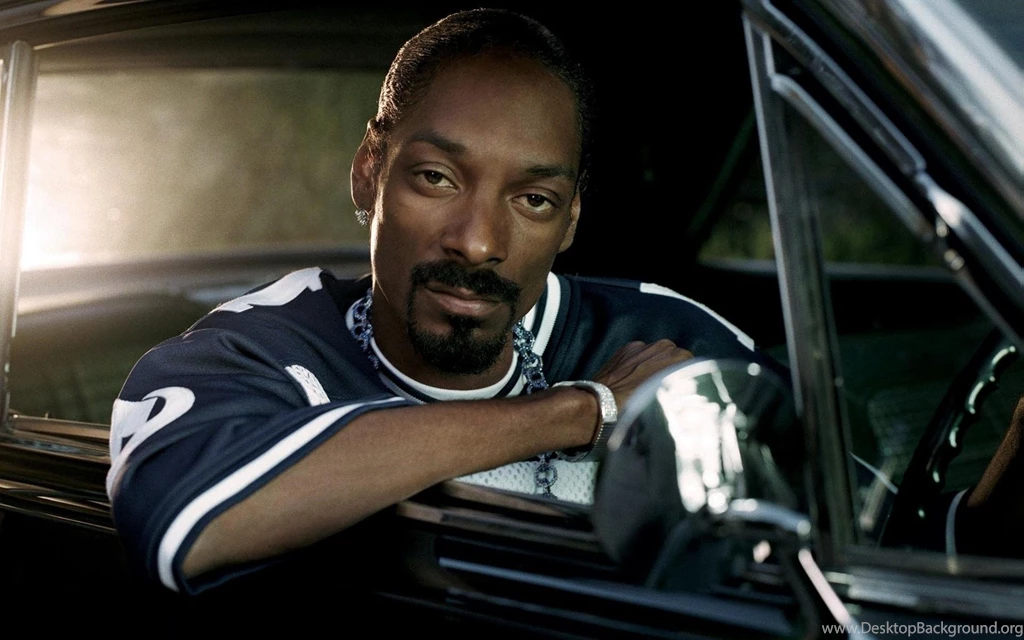 Snoop Dogg Afro american Chain Car Cabin