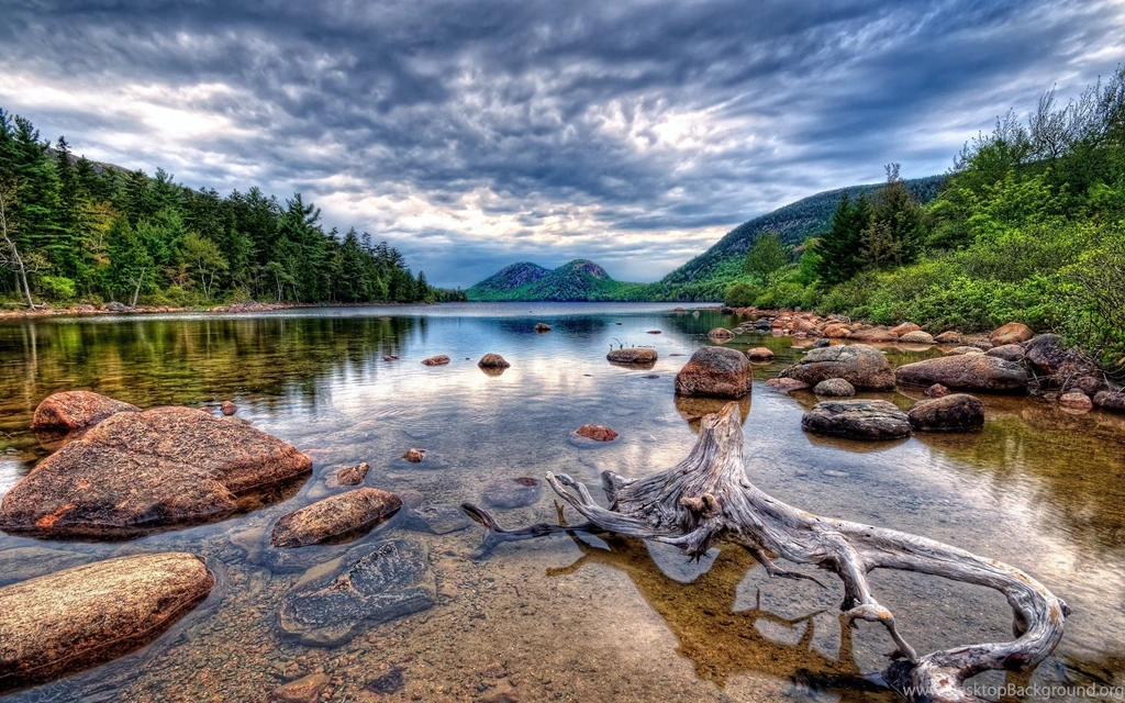 Snag Lies In The Pure Mountain Lake HD Desktop Wallpapers