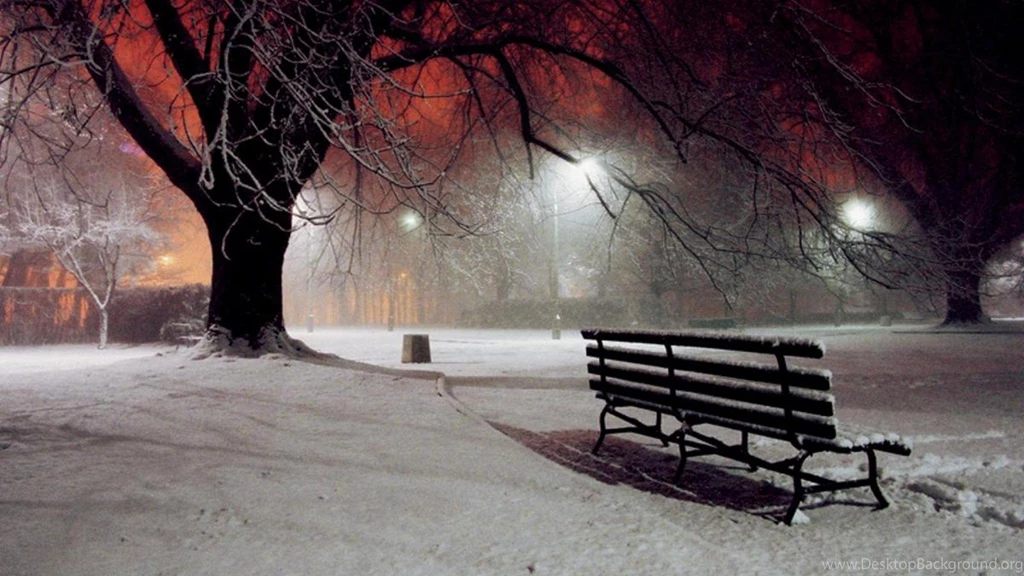 Winter Night Wallpapers   (
