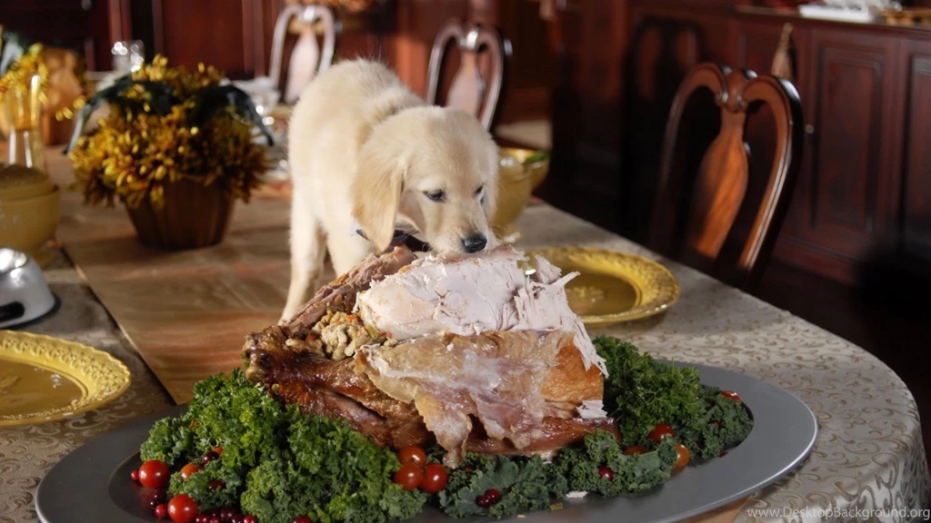 Thanksgiving (id: 69148) – BUZZERG
