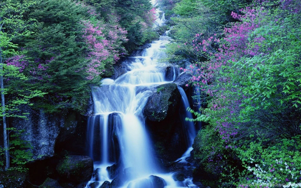 Page 66 › Free Download Gallery HD Wallpapers And Backgrounds ...