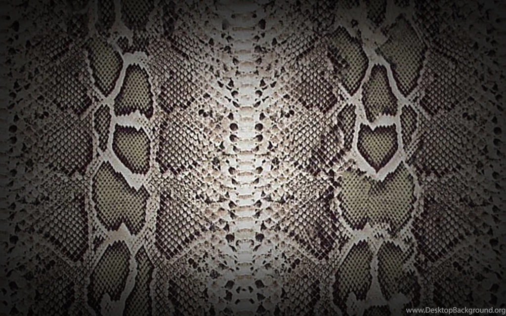 Snake Skin Wallpapers ~ Desktop Wallpapers