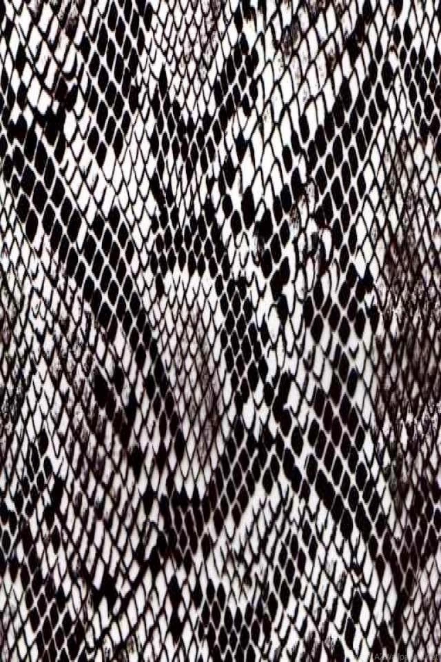 Snakeskin Creative Backgrounds For Your iPhone Download Free