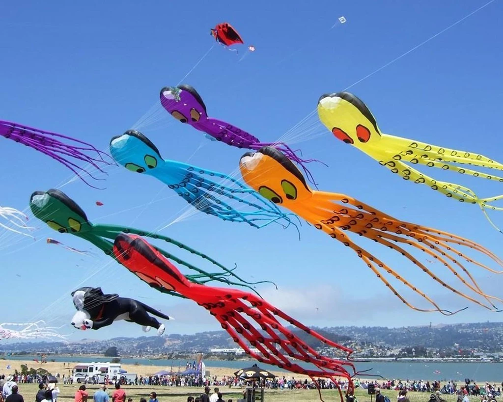Festival Of Kites Wallpapers Android Apps And Tests AndroidPIT