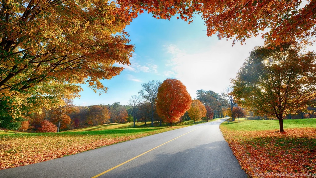 Colorfull, Trees, Landscape, Widescreen, High, Quality, Wallpapers ...
