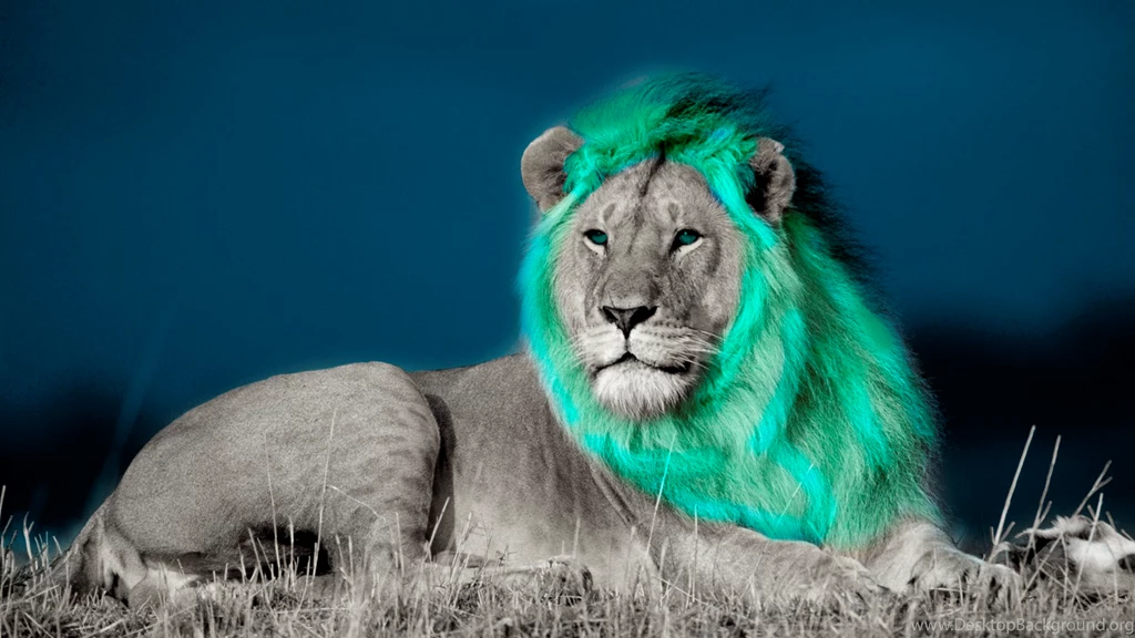 Blue Lion (HD Wallpaper) By MillowArts On DeviantArt