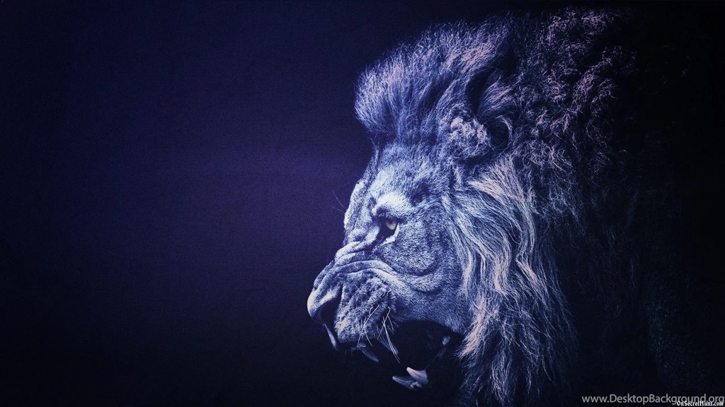 Lion Wallpapers 656 Backgrounds Animal