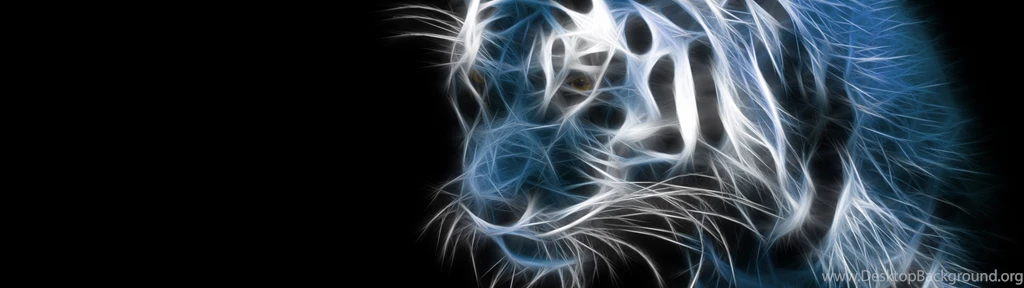 3840x2160 animal lion wallpapers hd wallpaper hd widescreen ...