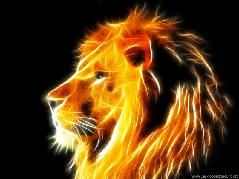 Quotes,lions Quotes Lions Motivation Gazelle 1366x768 Wallpapers ...