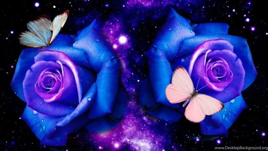 Butterfly, Blue Roses Deborah, Butterflies Wallpapers ...