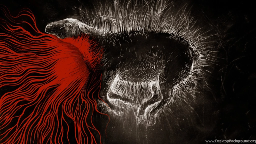 Free Desktop Wallpapers: February 2012