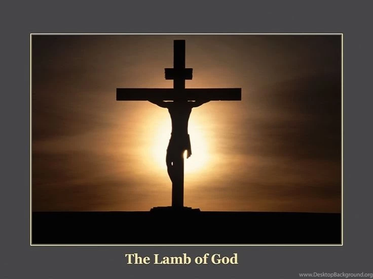 The Lamb Of God. [Desktop Wallpapers 800x600]
