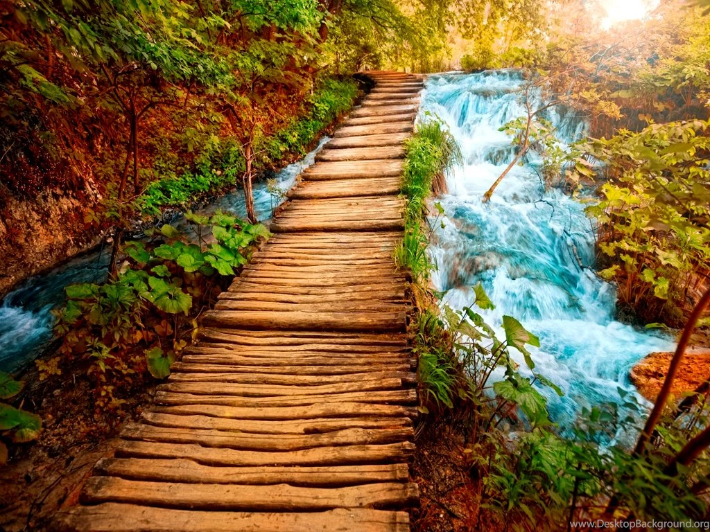 Nature Images Free Download