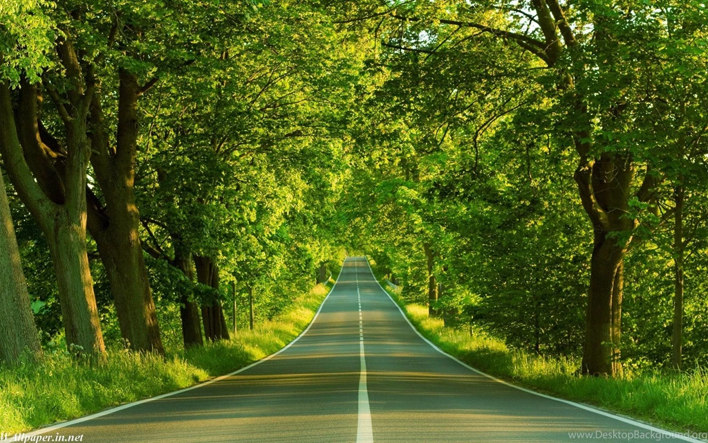 Nice Photography Best HD Wallpapers Free Download