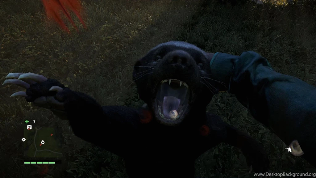 Far Cry 4   Honey Badger Attack Animation (PC HD) [1080p]   YouTube