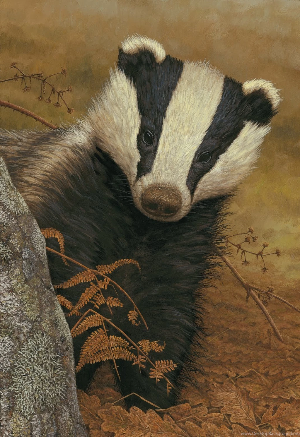 Valentine Day 2014: Wallpapers Badger