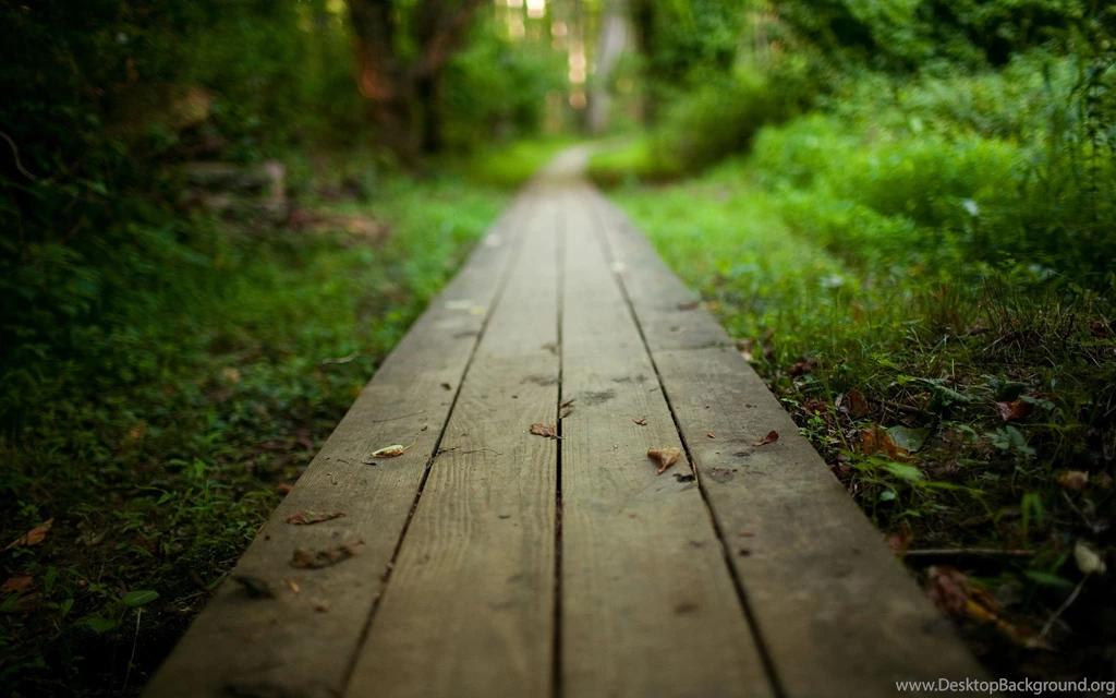 Amazing Widescreen Wallpapers