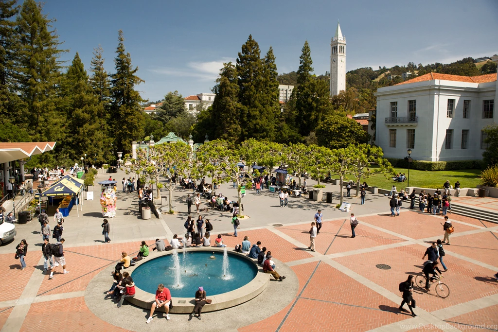 Public Photo Archive Haas School Of Business, University Of ...