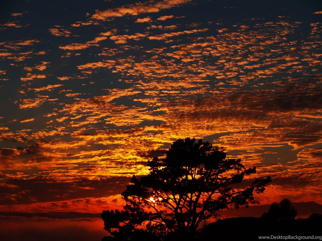 An Evening In Berkeley By VaggelisFragiadakis On DeviantArt