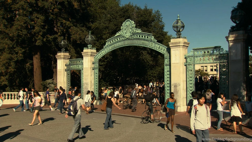What To Do When You're SO BERKELEY!