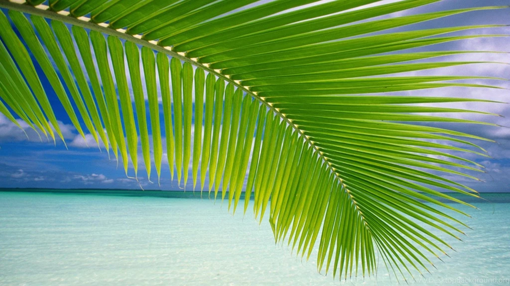 Green Landspace Beach Sea Blue Hd Wallpapers (