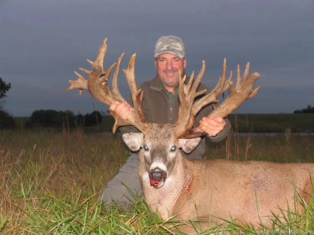 Big Buck Deer Graphics And Comments